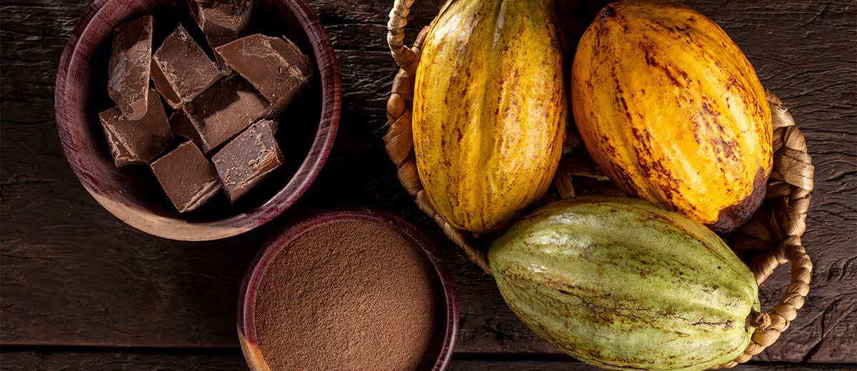 Mes del chocolate: Chocolatier aborda el origen y beneficios de este milenario alimento