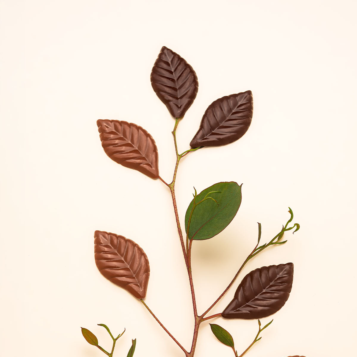 Chocolate Orgánico Amargo 57% cacao 160 g